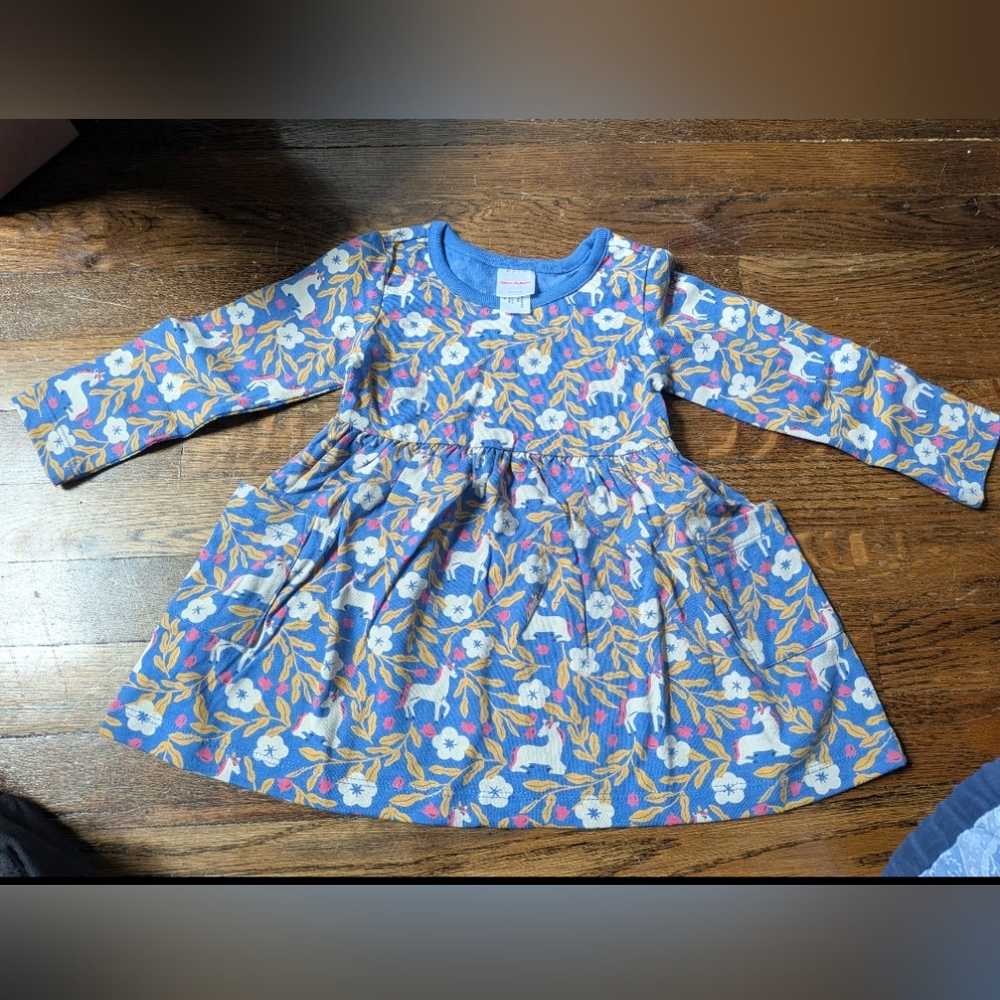Hanna Andersson 2T Floral Long Sleeve Kids Dress